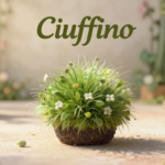 Ciuffino