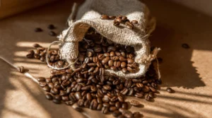 How to Choose the Right Coffee Beans for Your Brewing Method