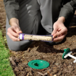 Termite Treatments