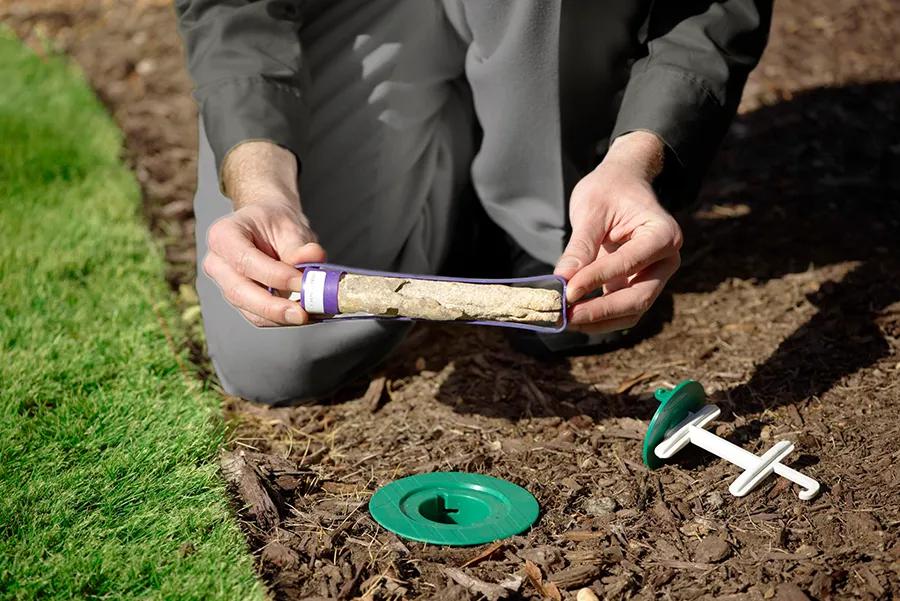 Termite Treatments